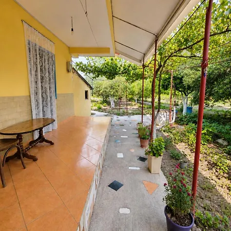 Garden Oasis In