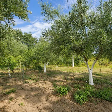 Garden Oasis In Dom wakacyjny