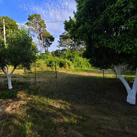 Prázdninový dům Garden Oasis In Vlorë
