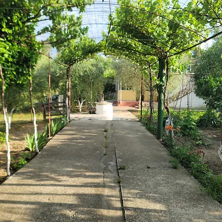 Garden Oasis In